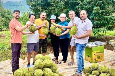 Rời ghế giám đốc, dựng nghiệp với sầu riêng trên đất Gia Lai