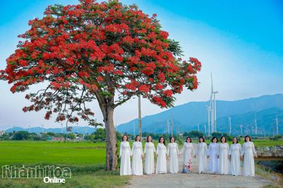Thuận Bắc - hành trình khám phá đầy sắc màu