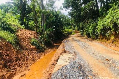 Quảng Yên chủ động phòng, chống sạt lở trong mùa mưa bão