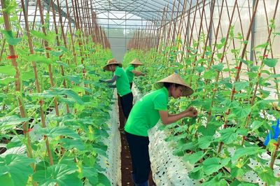 Nông nghiệp chuyển mình theo nhịp số