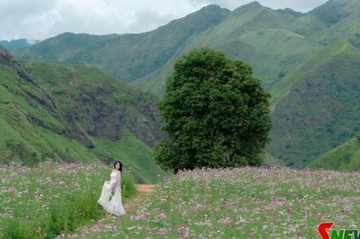 Du lịch hè ở Tà Xùa