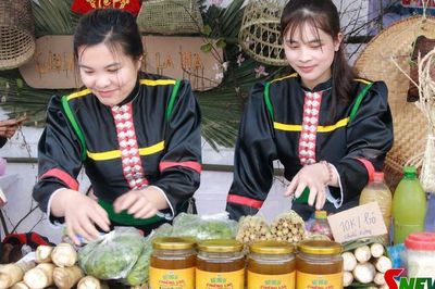 Nghề nuôi ong mật núi đá ở Chiềng Lao