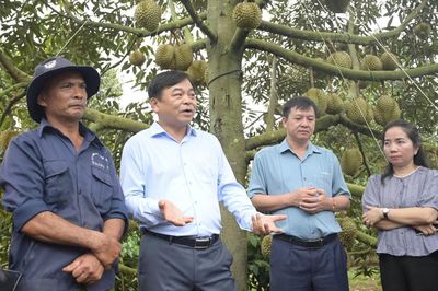 Gỡ khó cho xuất khẩu nông sản