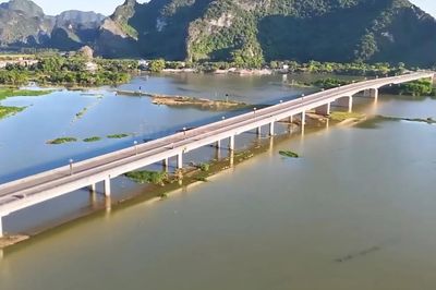 Ninh Bình chuyển đổi gần 9ha rừng, gỡ vướng cho dự án giao thông trọng điểm