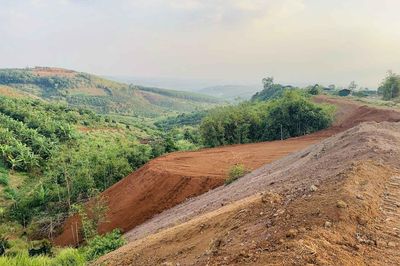 Siết quản lý đất đai, Lâm Đồng yêu cầu xử lý vi phạm ngay từ cơ sở