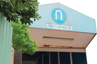 ANI vừa trở lại UPCoM đã tăng trần 5 phiên, nợ vay gấp 3,6 lần vốn chủ sở hữu