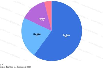 Campuchia: Xuất khẩu gạo tăng mạnh nửa đầu năm