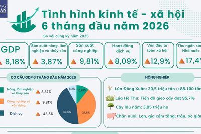 Số liệu kinh tế 6 tháng đầu năm 2026