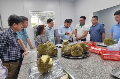 Sầu riêng tăng tốc xuất khẩu nhờ siết chặt truy xuất nguồn gốc toàn diện