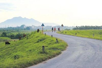 Hà Nội xây dựng kế hoạch đầu tư cải tạo, nâng cấp hệ thống đê điều