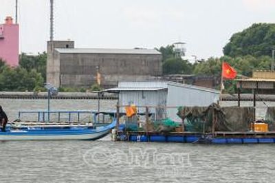 Giải pháp căn cơ chống khai thác IUU