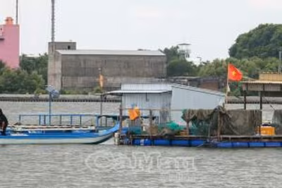 Giải pháp căn cơ chống khai thác IUU