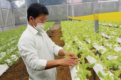 Dự án trong khu nông nghiệp ứng dụng công nghệ cao được hưởng ưu đãi gì?