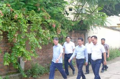 Hà Nội phấn đấu hoàn thành bàn giao đất nông, lâm trường về địa phương trong tháng 8-2026