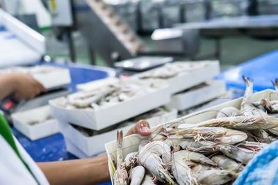 Doanh nghiệp thủy sản nâng cao năng lực cạnh tranh, thúc đẩy xuất khẩu
