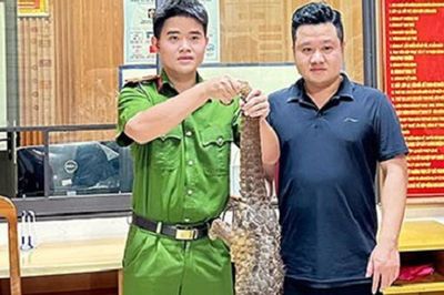 Đang đi taxi thấy tê tê bò trên đường, người dân bắt giao nộp cho Công an