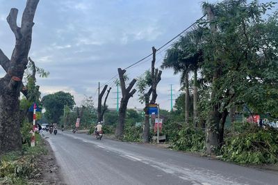 Dự án đường 70 qua Xuân Phương, Hà Nội: Hàng loạt cây xanh, nhà xưởng được dỡ bỏ