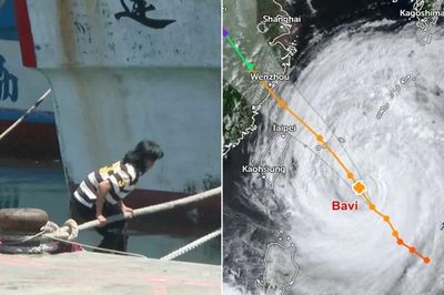 Kích thước bão Bavi lớn hơn Yagi thế nào? Vùng gió bão rộng gấp mấy lần Yagi?