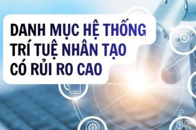 Infographic: Danh mục hệ thống trí tuệ nhân tạo có rủi ro cao