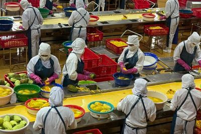 Nỗ lực cán mốc xuất khẩu 100 tỷ USD của ngành nông nghiệp