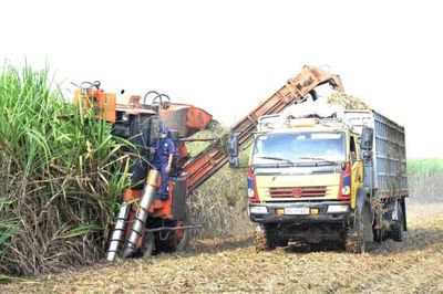Cơ giới hóa mở lối cho nông nghiệp quy mô lớn
