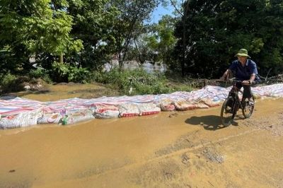 Hà Nội nâng cấp hệ thống đê điều đồng bộ với dự án Trục Đại lộ cảnh quan sông Hồng