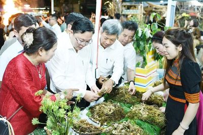Đà Nẵng: Đưa 'quốc bảo' Sâm Ngọc Linh xuống phố