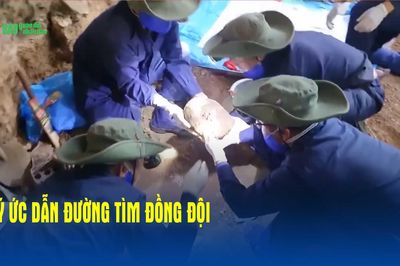 Ký ức dẫn đường tìm đồng đội