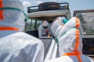 Dịch Ebola ở CHDC Congo: 600 ca tử vong và gần 1.800 ca nhiễm bệnh, đây là những lý do khiến dịch bùng phát nghiêm trọng