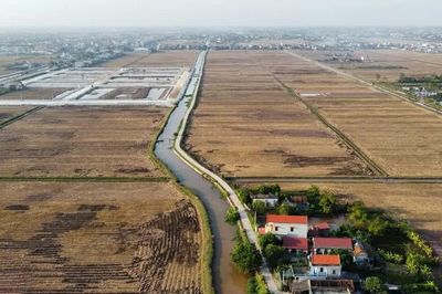 Đề xuất nâng mức đặt cọc đấu giá tối thiểu lên 20%: Kỳ vọng chặn 'cò' thổi giá đất