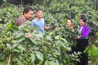 Bí thư 39 tuổi xóa '5 không' ở bản nghèo