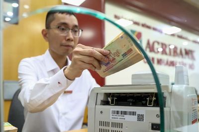 Ngân hàng đấu giá loạt đất tại TPHCM, giá khởi điểm hơn 100 tỷ đồng