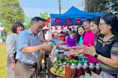 Gia Lai đặt mục tiêu trở thành điểm đến hàng đầu miền Trung - Tây Nguyên