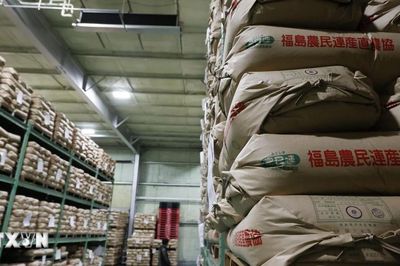 Giá gạo tại Nhật Bản giảm xuống mức thấp nhất kể từ cuối năm 2024