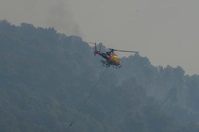 Cháy rừng dữ dội ở Pháp và Tây Ban Nha