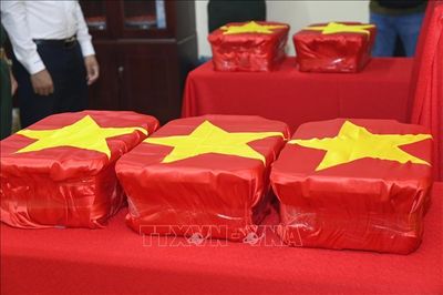 Khoanh vùng khu vực nghi có hố chôn liệt sĩ tại di tích Cấm An Sơn