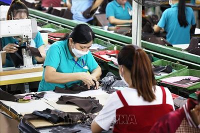 Còn nhiều tồn tại trong hoạt động cho thuê lại lao động tại Thành phố Hồ Chí Minh