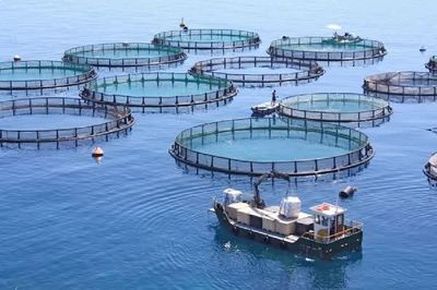 Kiến nghị cấp 'sổ xanh', gỡ nút thắt thể chế để kinh tế biển phát triển bền vững