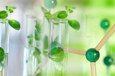 Lần đầu tiên xử phạt vi phạm nguyên tắc 'hóa học xanh'