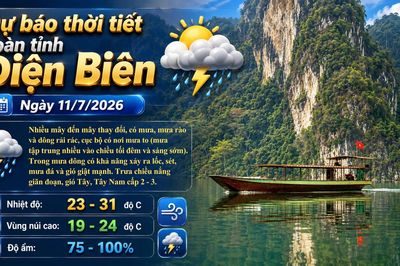Bản tin Dự báo thời tiết ngày 11/7/2026
