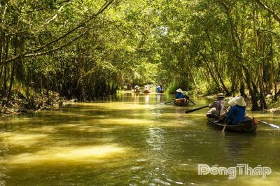 Khu Sinh thái Gáo Giồng: Từ vùng đất ngập nước đến không gian đa giá trị của Đồng Tháp Mười