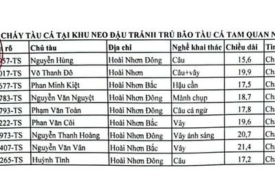 Vụ cháy tàu tại Cảng cá Tam Quan gây thiệt hại hơn 20 tỷ đồng