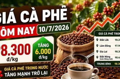 Giá cà phê hôm nay 10/7: Bật tăng mạnh lên 98.300 đồng/kg