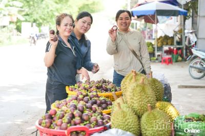 Tìm về vị ngọt Lâm Sơn