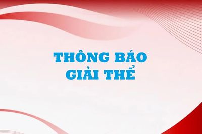 Công ty Đấu giá Hợp danh Lam Sơn Sài Gòn thông báo đấu giá tài sản