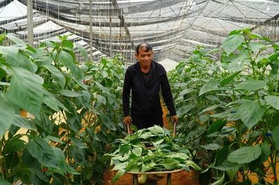 Tiếp sức cho nông dân