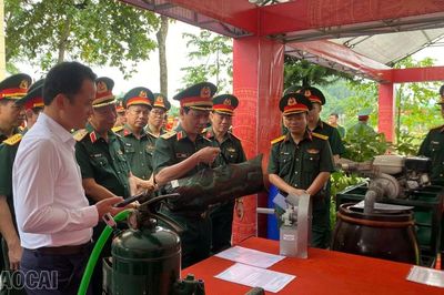 Chấm thi Hội thi 'Doanh trại chính quy xanh, sạch, đẹp' tại Trung đoàn 174