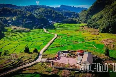 Khi chuyển đổi số là công cụ giải bài toán sinh kế