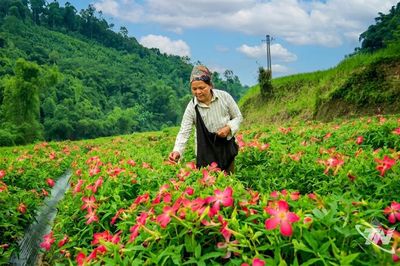 Tư duy mới trên đồng đất cũ