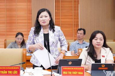 Thẩm tra các báo cáo, tờ trình tại Kỳ họp thứ năm HĐND tỉnh Thái Nguyên